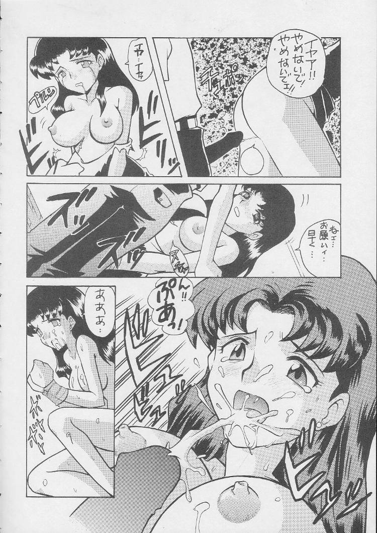 c55-nagisawaya-nagisawa-you-sirumania-dx-neon-genesis-evangelion-martian-successor-nadesico-fun-fun-pharmacy