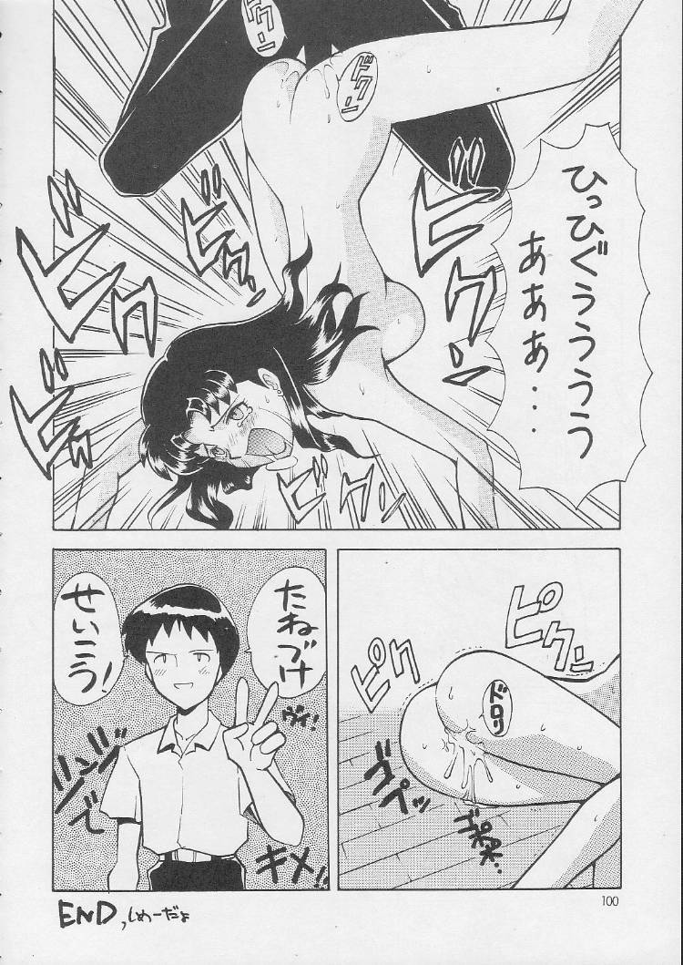 c55-nagisawaya-nagisawa-you-sirumania-dx-neon-genesis-evangelion-martian-successor-nadesico-fun-fun-pharmacy
