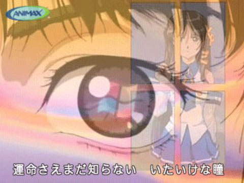 xp-tan